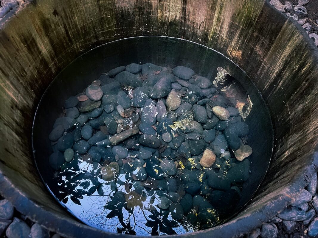 明治神宮で皆さまのご健康と社運隆昌を祈念 – 有限会社KYOUEI